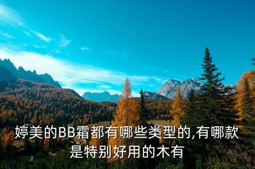 婷美的BB霜都有哪些类型的,有哪款是特别好用的木有