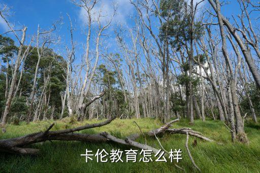  卡伦教育怎么样