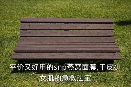 韩国的SNP面膜卖多少钱一张,