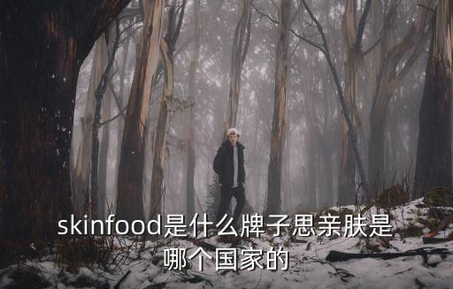 skinfood是什么牌子思亲肤是哪个国家的