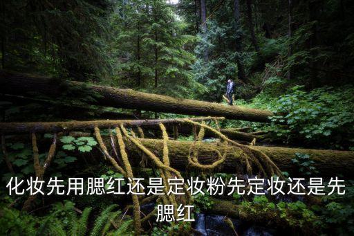 化妆先用腮红还是定妆粉先定妆还是先腮红