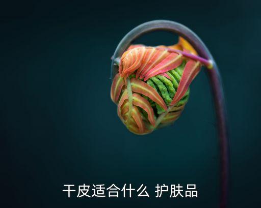 干皮适合什么 护肤品