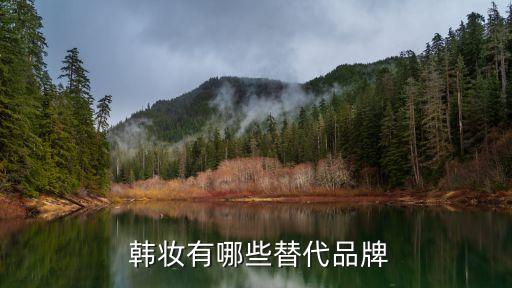 韩妆有哪些替代品牌