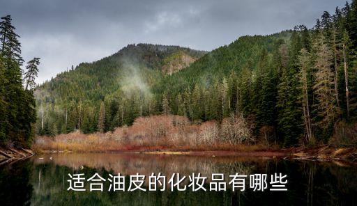 油性皮肤上妆用什么