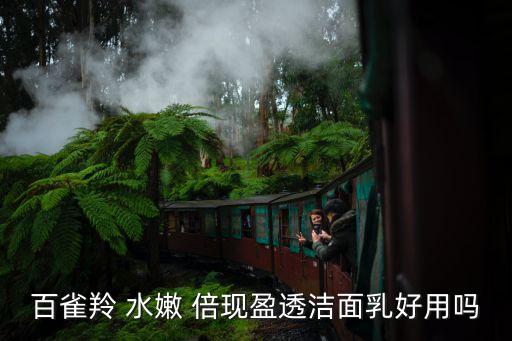 百雀羚 水嫩 倍现盈透洁面乳好用吗