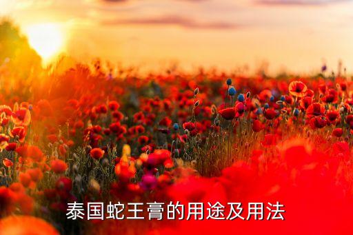 哪些化妆品里含蛇油,含维生素a的化妆品有哪些