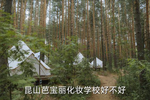 昆山芭宝丽化妆学校好不好