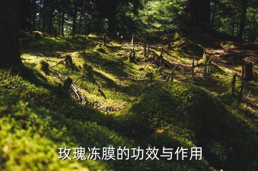  玫瑰冻膜的功效与作用