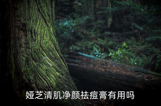 娅芝清肌净颜祛痘膏有用吗