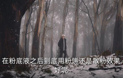 在粉底液之后到底用粉饼还是散粉效果好呢