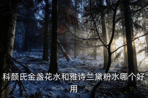 科颜氏金盏花水和雅诗兰黛粉水哪个好用