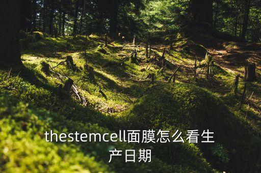 thestemcell面膜怎么看生产日期