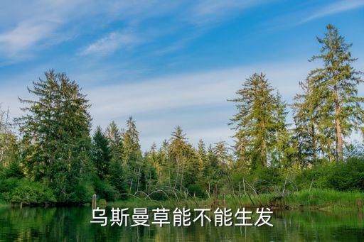 乌斯曼草能不能生发