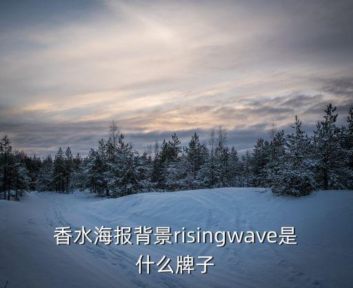 香水海报背景risingwave是什么牌子