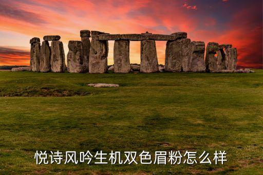 悦诗风吟生机双色眉粉怎么样