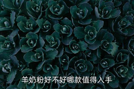 羊奶粉好不好哪款值得入手