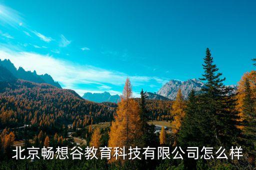 北京畅想谷教育科技有限公司怎么样