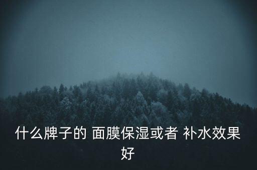 什么牌子的 面膜保湿或者 补水效果好