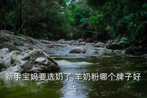 新手宝妈要选奶了,羊奶粉哪个牌子好些