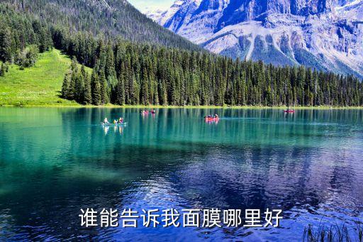 谁能告诉我面膜哪里好