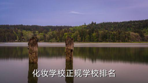 化妆学校正规学校排名