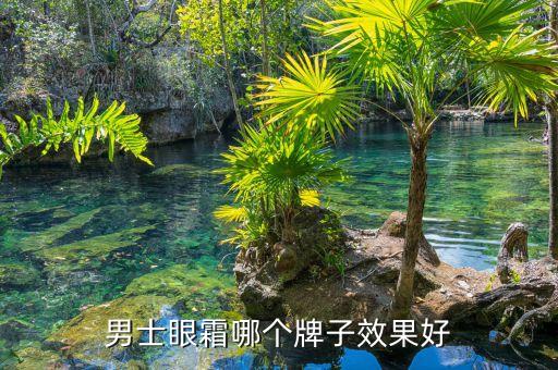 男士眼霜哪个牌子效果好