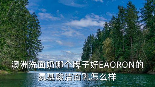 星纯洗面奶怎么样,安进纯洗面奶怎么样？