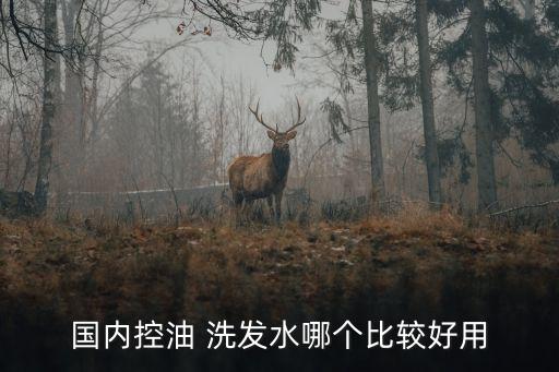 施华蔻精油洗发水怎么样