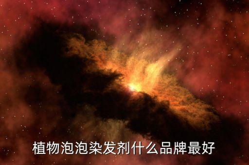植物泡泡染发剂什么品牌最好