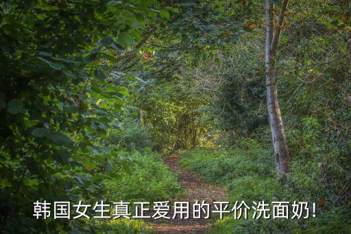 韩国女生真正爱用的平价洗面奶!
