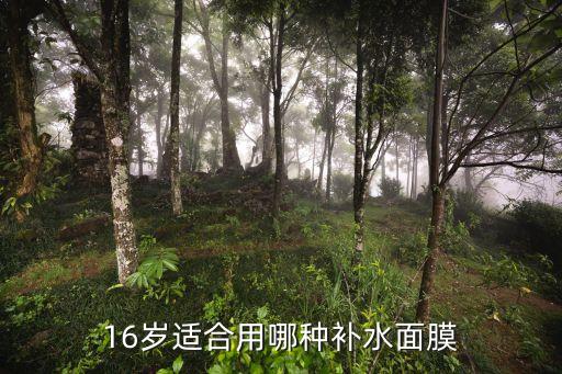 16岁适合用哪种补水面膜