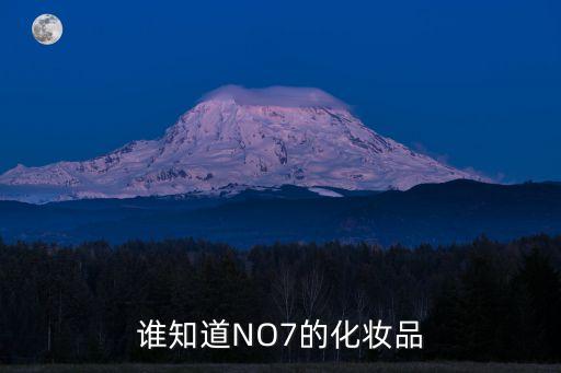谁知道NO7的化妆品