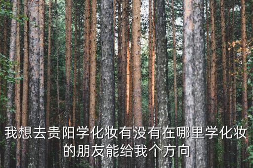 我想去贵阳学化妆有没有在哪里学化妆的朋友能给我个方向