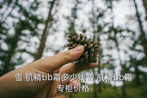 雪 肌精bb霜多少钱雪 肌精bb霜专柜价格