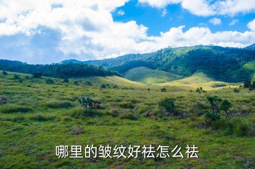 丝芙水是什么,丝芙格瑞是什么档次