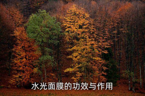 水光面膜的功效与作用