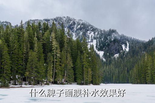 什么牌子面膜补水效果好
