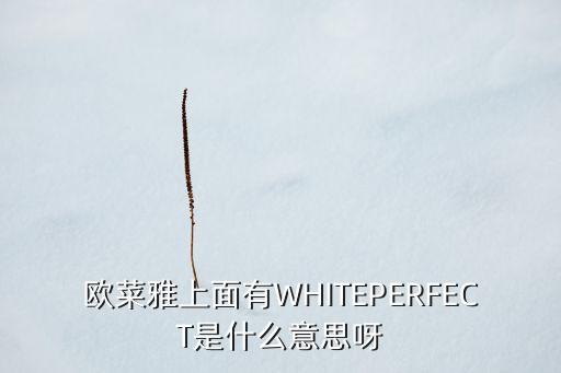 欧菜雅上面有WHITEPERFECT是什么意思呀