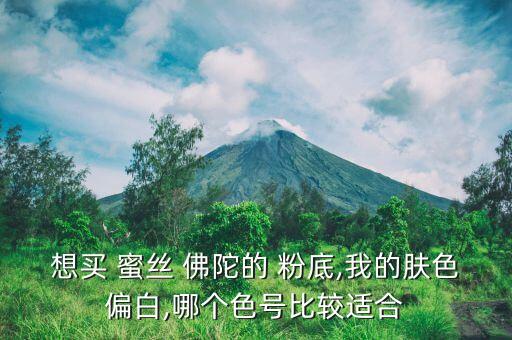 蜜丝佛陀修颜粉底液哪个好