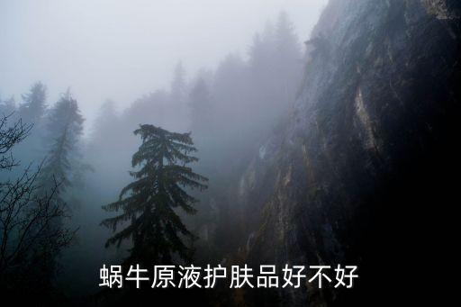 极上蜗牛原液多少钱,蜗牛原液美颜面膜多少钱怎么用?