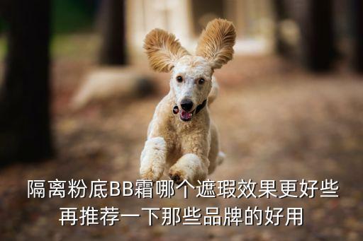 隔离霜用什么化妆品,化妆品的隔离霜起什么作用