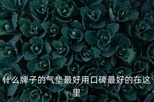 什么牌子的气垫最好用口碑最好的在这里