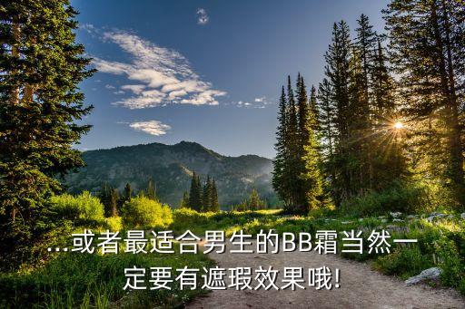 ...或者最适合男生的BB霜当然一定要有遮瑕效果哦!