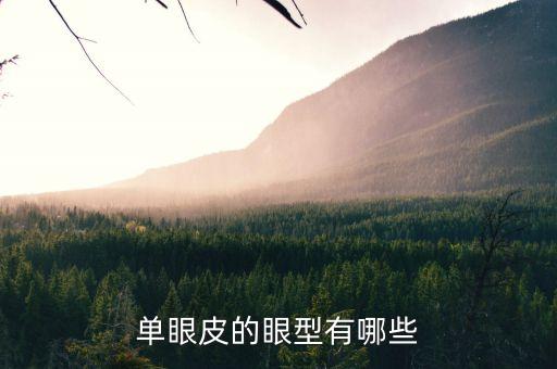 单眼皮的眼型有哪些