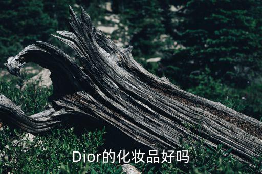 Dior的化妆品好吗