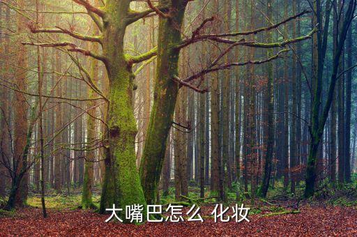 大嘴巴怎么 化妆