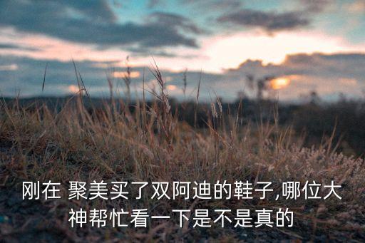 刚在 聚美买了双阿迪的鞋子,哪位大神帮忙看一下是不是真的