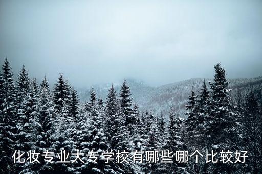 化妆专业大专学校有哪些哪个比较好