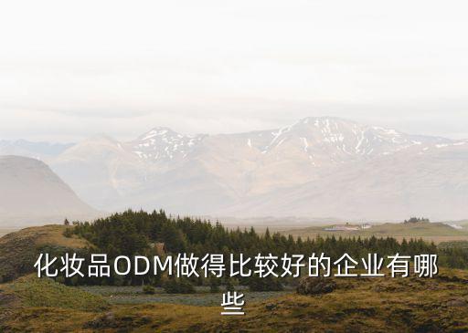  化妆品ODM做得比较好的企业有哪些