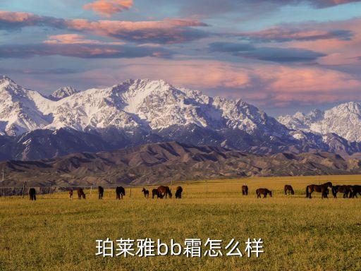 珀莱雅bb霜怎么样
